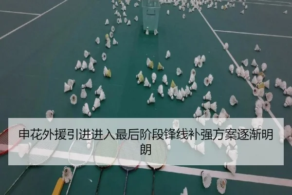 申花外援引进进入最后阶段锋线补强方案逐渐明朗